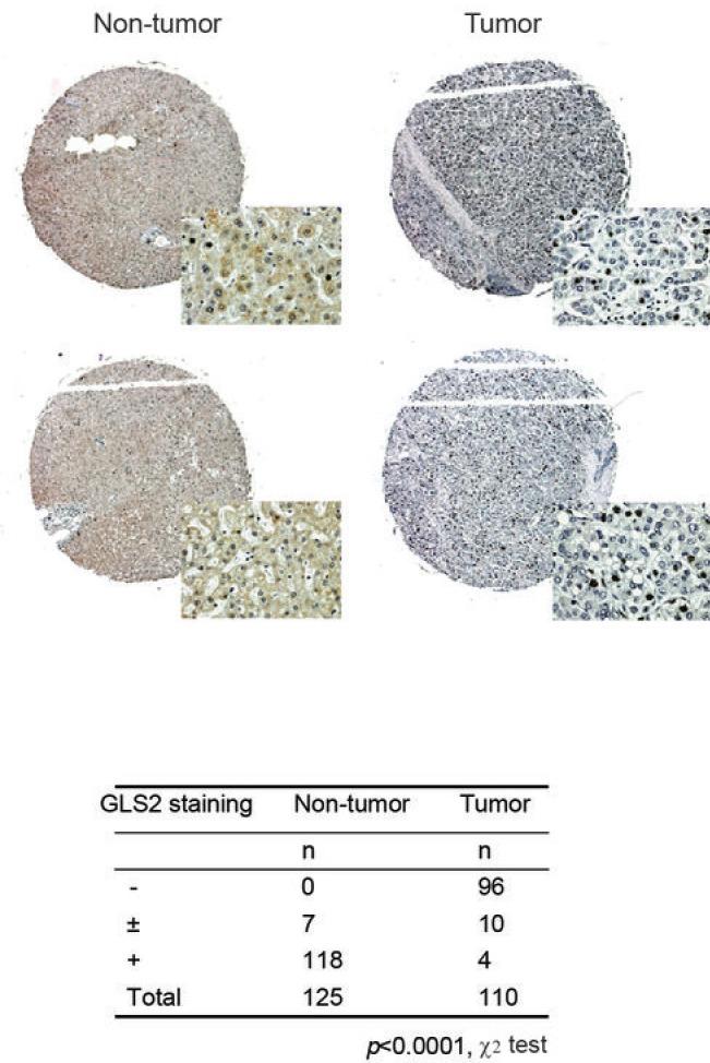 https://cdn.ncbi.nlm.nih.gov/pmc/blobs/988b/4058033/9652d910fb93/oncotarget-05-2635-g001.jpg