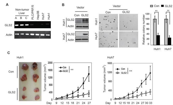 https://cdn.ncbi.nlm.nih.gov/pmc/blobs/988b/4058033/fd08707ddd61/oncotarget-05-2635-g002.jpg