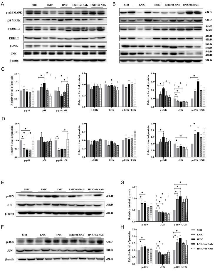 https://cdn.ncbi.nlm.nih.gov/pmc/blobs/988e/12292000/0ce06803ddec/antioxidants-14-00859-g005.jpg