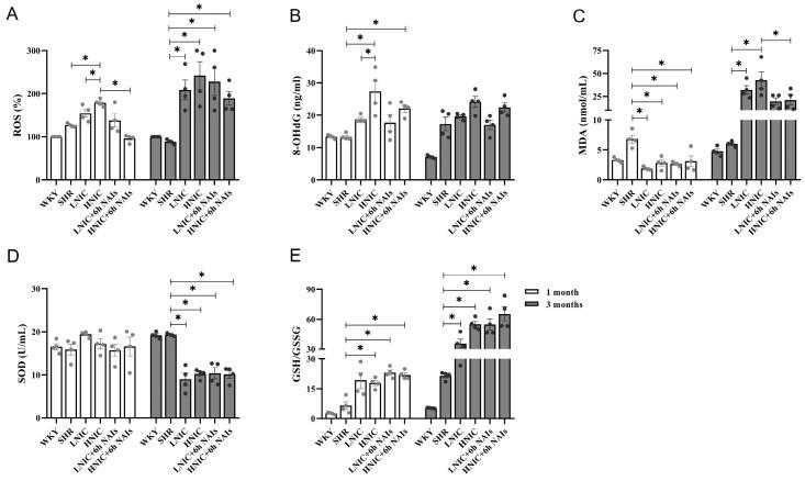 https://cdn.ncbi.nlm.nih.gov/pmc/blobs/988e/12292000/dac7316377a3/antioxidants-14-00859-g002a.jpg