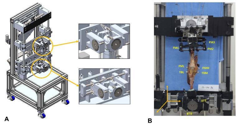 https://cdn.ncbi.nlm.nih.gov/pmc/blobs/988e/9598272/d0aa31791b71/bioengineering-09-00564-g002.jpg