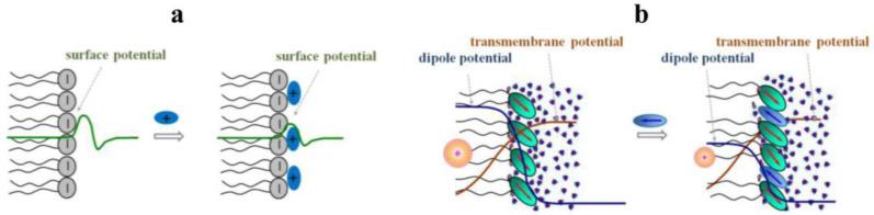 https://cdn.ncbi.nlm.nih.gov/pmc/blobs/988f/10141572/28fb7deac8bb/membranes-13-00453-g004.jpg