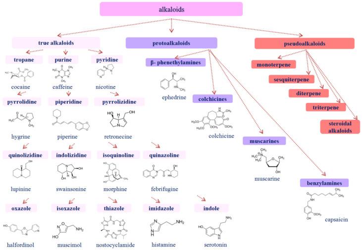 https://cdn.ncbi.nlm.nih.gov/pmc/blobs/988f/10141572/6067f9a6e10e/membranes-13-00453-g002.jpg