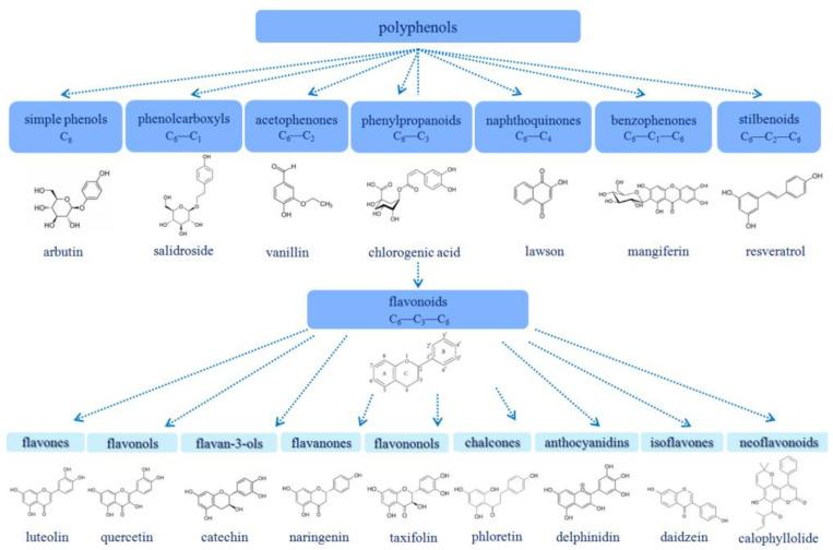 https://cdn.ncbi.nlm.nih.gov/pmc/blobs/988f/10141572/7665bcb90d50/membranes-13-00453-g001.jpg