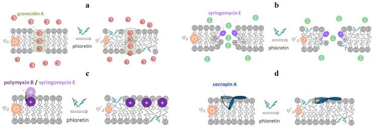 https://cdn.ncbi.nlm.nih.gov/pmc/blobs/988f/10141572/97a8bbe28bfd/membranes-13-00453-g009.jpg