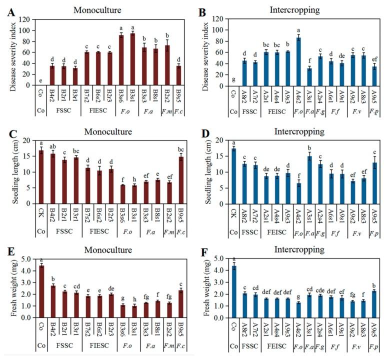 https://cdn.ncbi.nlm.nih.gov/pmc/blobs/9890/7157700/58654fc58add/pathogens-09-00211-g005.jpg