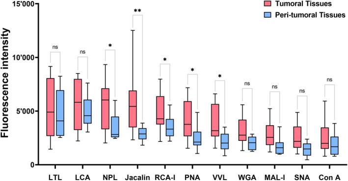 https://cdn.ncbi.nlm.nih.gov/pmc/blobs/9891/11251471/cd068e1ac966/ACN3-11-1765-g001.jpg