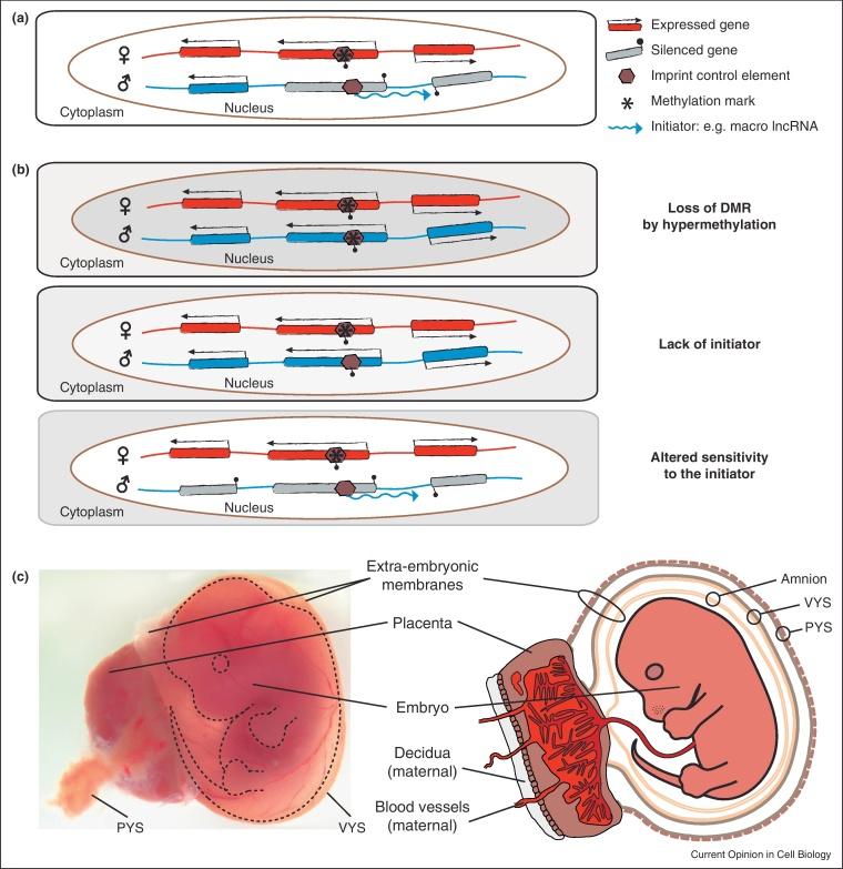 https://cdn.ncbi.nlm.nih.gov/pmc/blobs/9891/3695569/3da19285c257/gr1.jpg