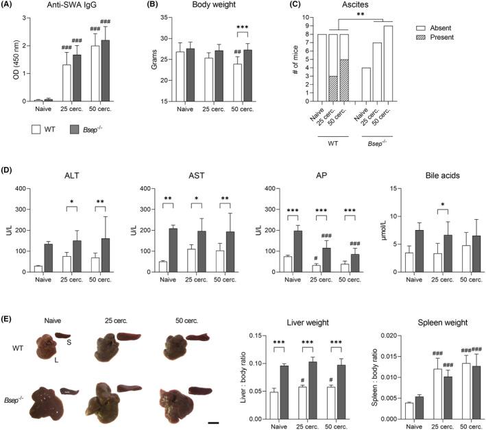 https://cdn.ncbi.nlm.nih.gov/pmc/blobs/9892/10947390/436f72c0cb5d/LIV-43-2469-g001.jpg