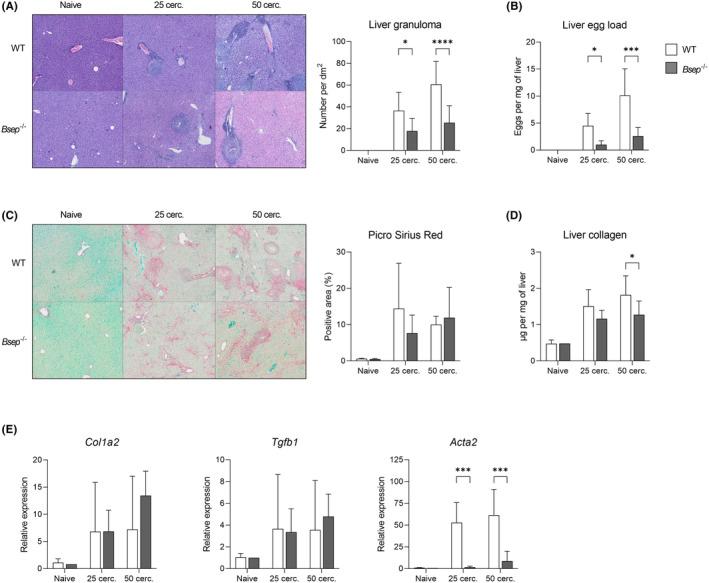 https://cdn.ncbi.nlm.nih.gov/pmc/blobs/9892/10947390/c89fa4fcc557/LIV-43-2469-g002.jpg