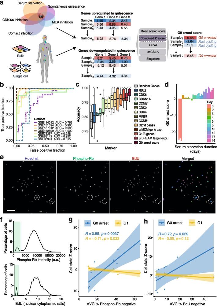 https://cdn.ncbi.nlm.nih.gov/pmc/blobs/9899/10204193/77191765238d/13059_2023_2963_Fig1_HTML.jpg