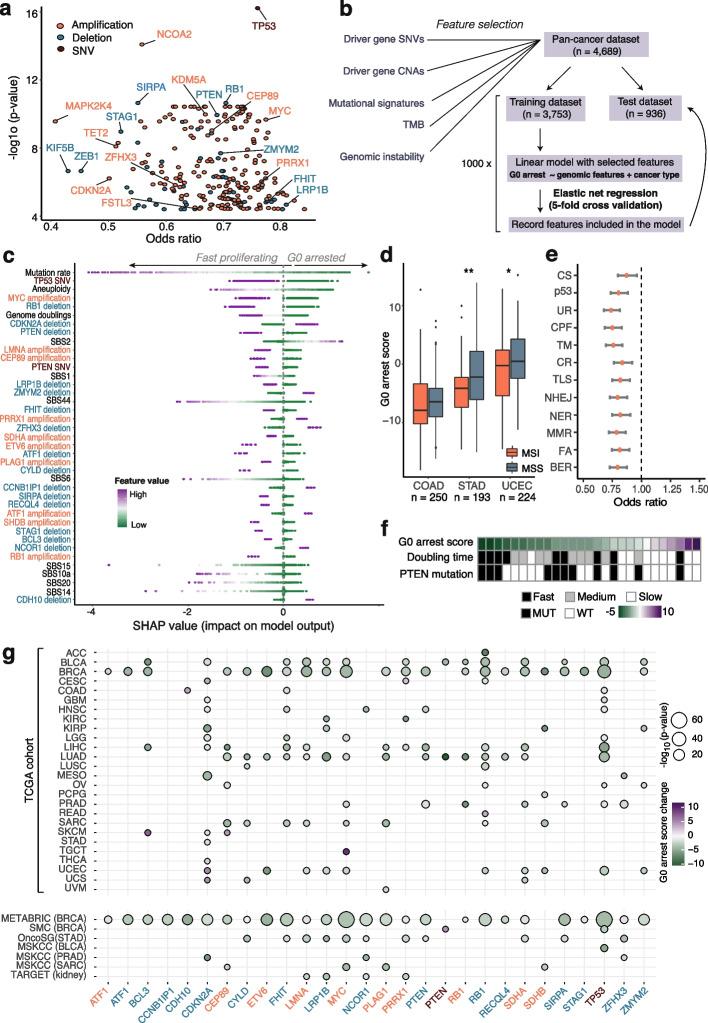 https://cdn.ncbi.nlm.nih.gov/pmc/blobs/9899/10204193/92bfc26fb6ee/13059_2023_2963_Fig3_HTML.jpg