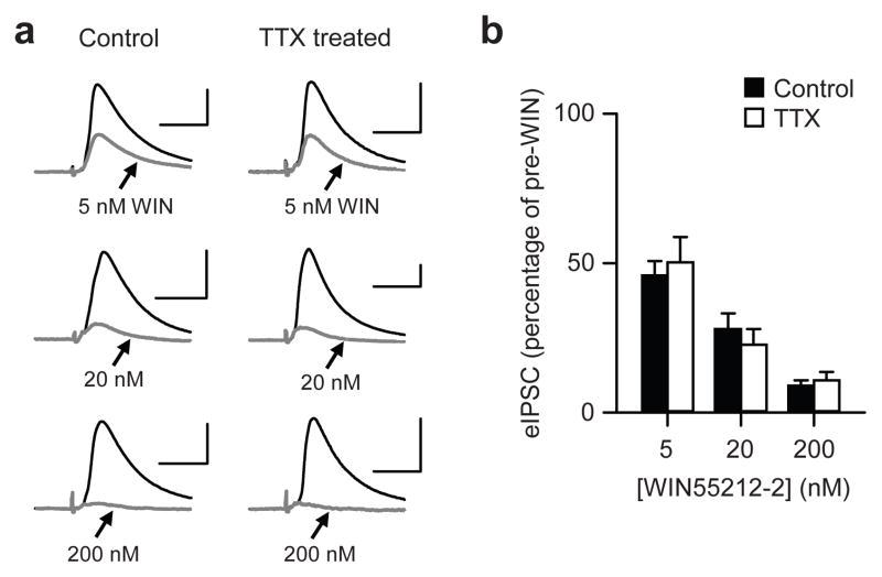 https://cdn.ncbi.nlm.nih.gov/pmc/blobs/989c/2860695/22c8270b43d1/nihms180583f4.jpg