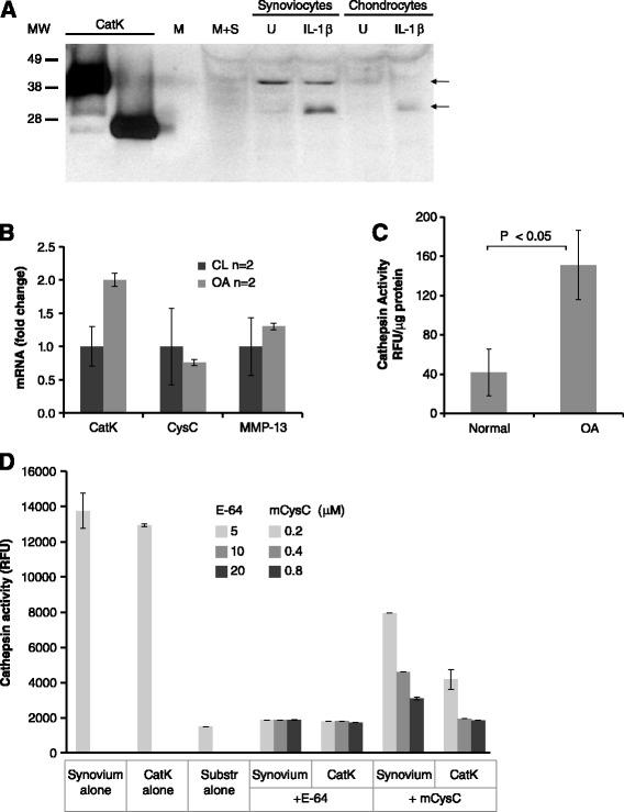 https://cdn.ncbi.nlm.nih.gov/pmc/blobs/989c/4350912/0f7c42688e96/13075_2015_519_Fig2_HTML.jpg