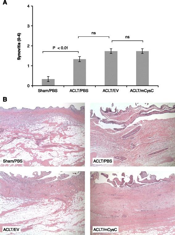 https://cdn.ncbi.nlm.nih.gov/pmc/blobs/989c/4350912/c9da6e18694e/13075_2015_519_Fig7_HTML.jpg
