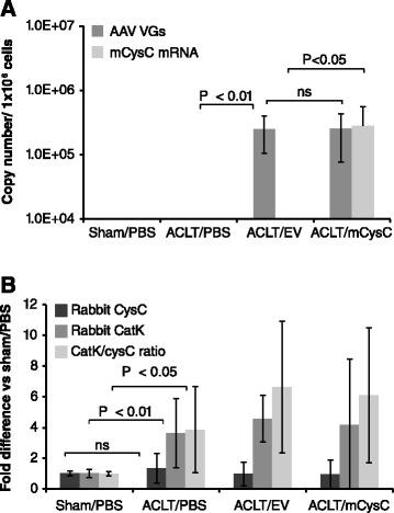 https://cdn.ncbi.nlm.nih.gov/pmc/blobs/989c/4350912/db6a794c286b/13075_2015_519_Fig5_HTML.jpg