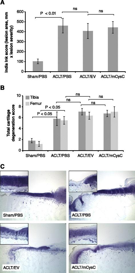 https://cdn.ncbi.nlm.nih.gov/pmc/blobs/989c/4350912/f0655b1c7eff/13075_2015_519_Fig8_HTML.jpg