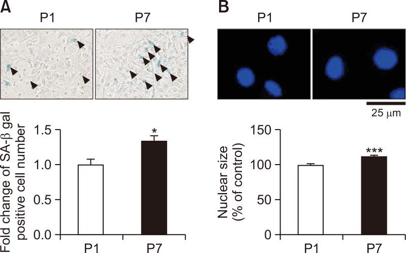 https://cdn.ncbi.nlm.nih.gov/pmc/blobs/989c/7921865/217d33af0825/bt-29-2-144-f1.jpg
