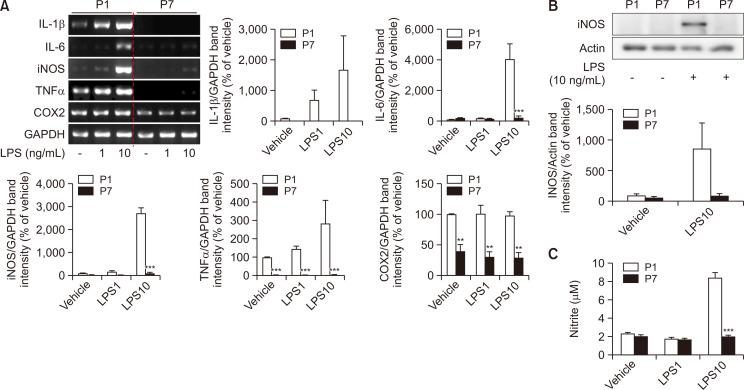 https://cdn.ncbi.nlm.nih.gov/pmc/blobs/989c/7921865/ebef03ba2a14/bt-29-2-144-f2.jpg