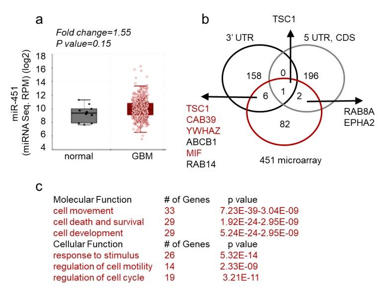 https://cdn.ncbi.nlm.nih.gov/pmc/blobs/989d/6468936/be2f4750bb48/ncrna-05-00025-g005.jpg