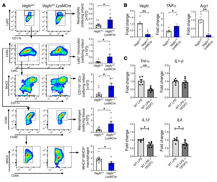 https://cdn.ncbi.nlm.nih.gov/pmc/blobs/989d/9057589/295345d45f5c/jci-132-140685-g088.jpg