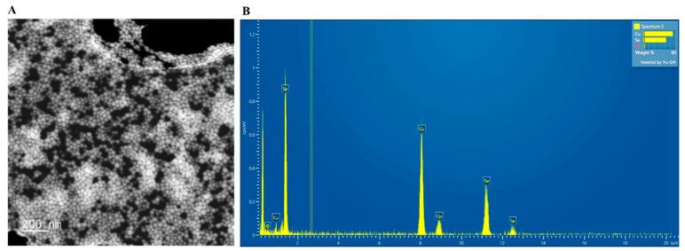 https://cdn.ncbi.nlm.nih.gov/pmc/blobs/989e/10300849/bab41ca4c554/microorganisms-11-01519-g002.jpg