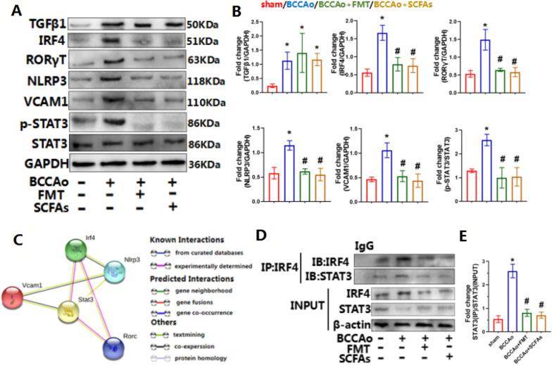 https://cdn.ncbi.nlm.nih.gov/pmc/blobs/989e/9791754/146a4c00924c/12974_2022_2675_Fig8_HTML.jpg