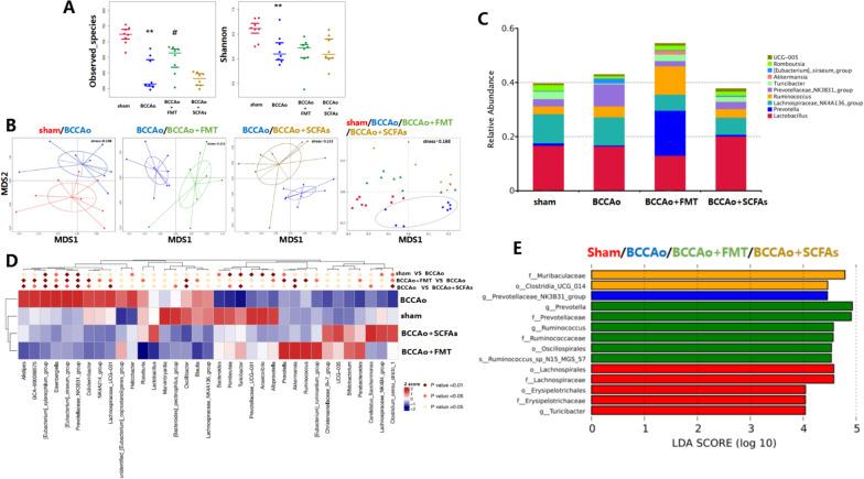 https://cdn.ncbi.nlm.nih.gov/pmc/blobs/989e/9791754/32f037f8f66a/12974_2022_2675_Fig2_HTML.jpg