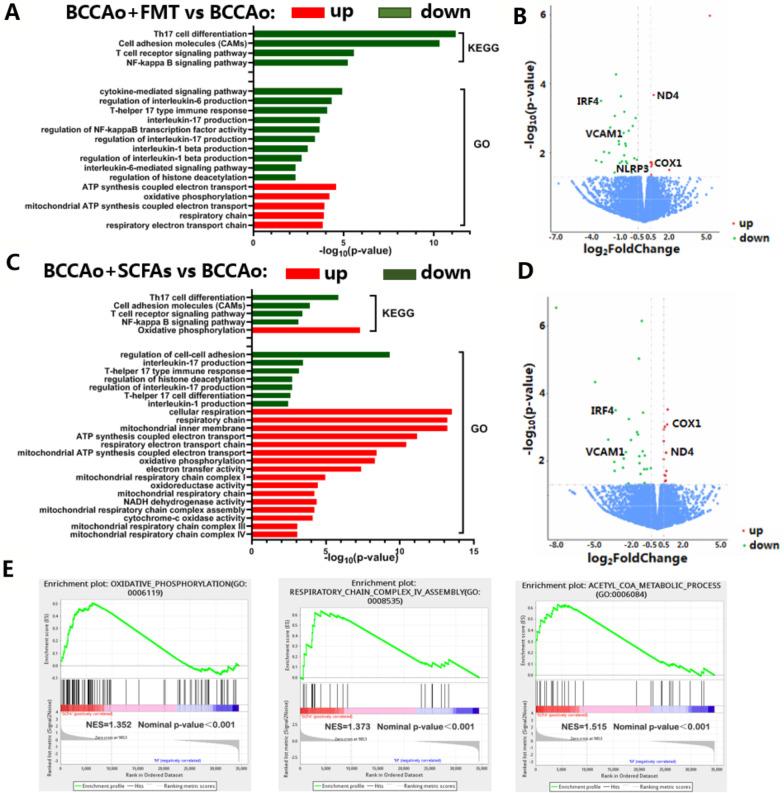 https://cdn.ncbi.nlm.nih.gov/pmc/blobs/989e/9791754/bc2d9b4056ac/12974_2022_2675_Fig5_HTML.jpg