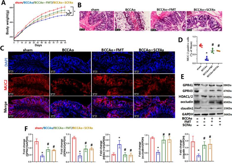 https://cdn.ncbi.nlm.nih.gov/pmc/blobs/989e/9791754/db945c2aebae/12974_2022_2675_Fig4_HTML.jpg