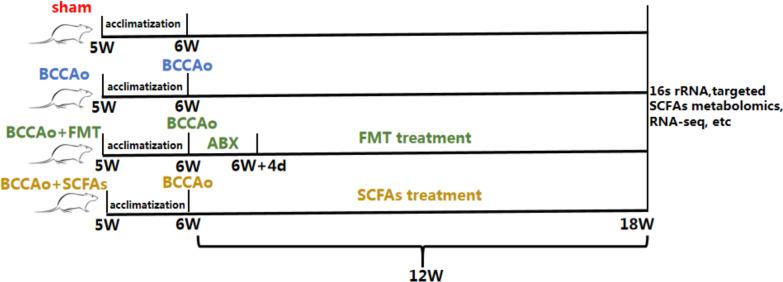 https://cdn.ncbi.nlm.nih.gov/pmc/blobs/989e/9791754/e2a4608c9acb/12974_2022_2675_Fig1_HTML.jpg