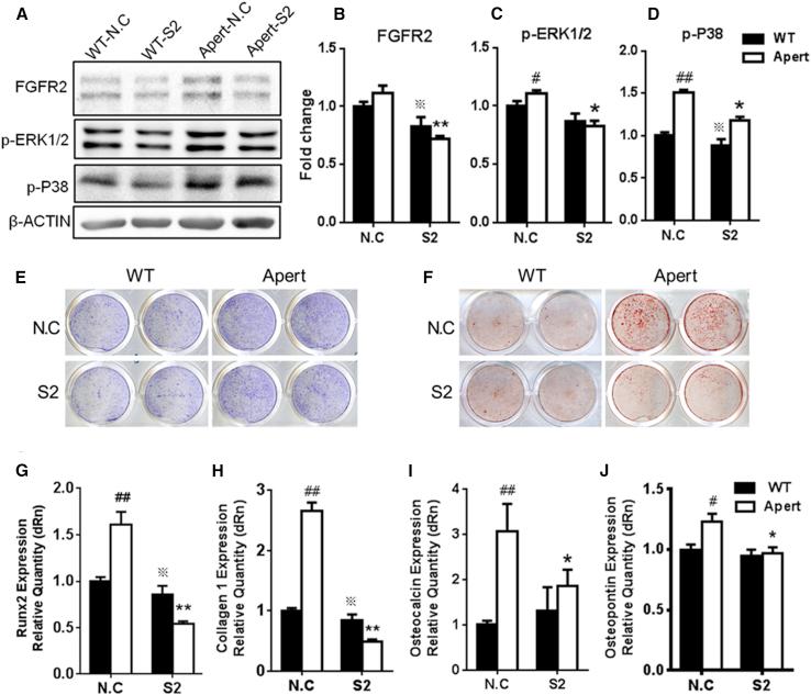 https://cdn.ncbi.nlm.nih.gov/pmc/blobs/989f/6197781/16372745f273/gr2.jpg