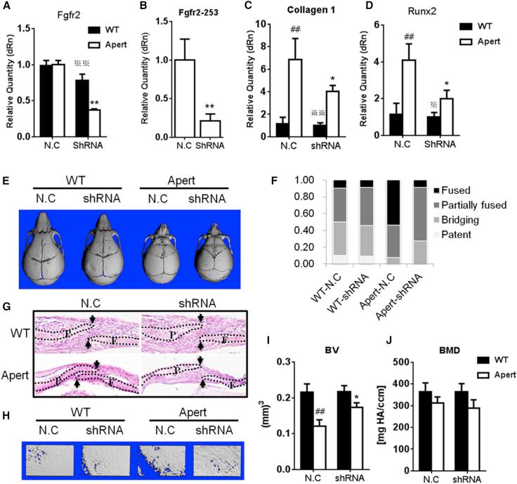 https://cdn.ncbi.nlm.nih.gov/pmc/blobs/989f/6197781/22ad99212d61/gr5.jpg