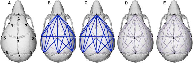 https://cdn.ncbi.nlm.nih.gov/pmc/blobs/989f/6197781/98a9938d3a9d/gr6.jpg