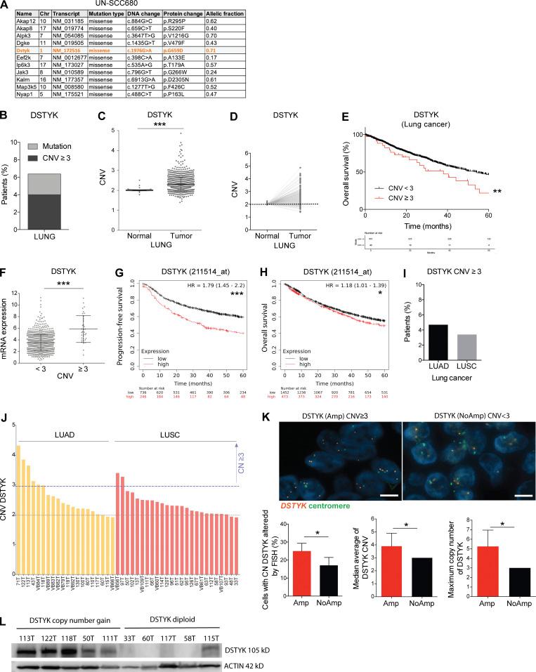 https://cdn.ncbi.nlm.nih.gov/pmc/blobs/98a0/9524203/313086eaf25e/JEM_20220726_Fig1.jpg
