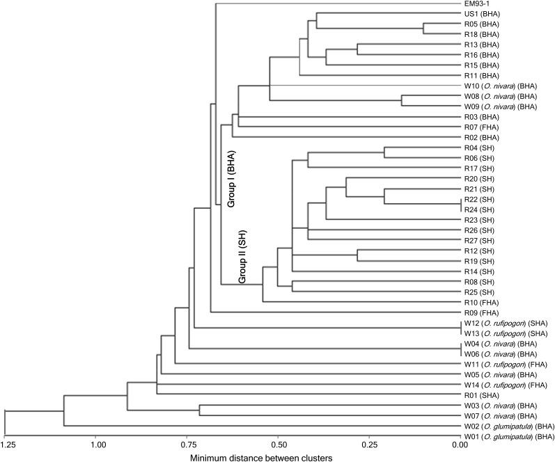 https://cdn.ncbi.nlm.nih.gov/pmc/blobs/98a3/3689802/ffa04395ca5e/1049f4.jpg