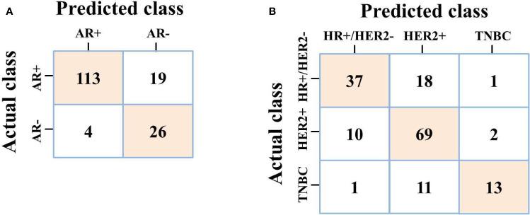 https://cdn.ncbi.nlm.nih.gov/pmc/blobs/98a4/8416497/b6beb0b3c7d4/fonc-11-706733-g007.jpg