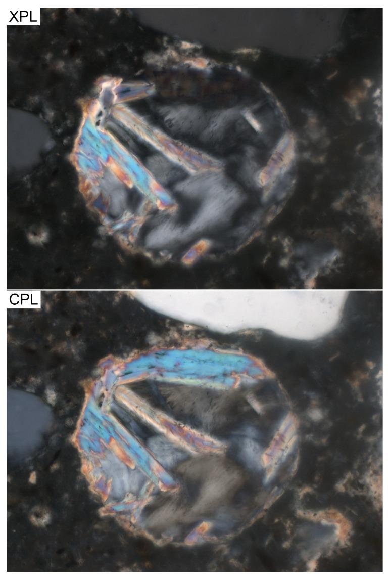 https://cdn.ncbi.nlm.nih.gov/pmc/blobs/98a6/5456675/44a2bd5ba178/materials-09-00176-g001.jpg