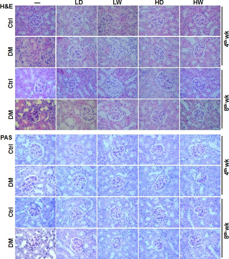 https://cdn.ncbi.nlm.nih.gov/pmc/blobs/98a7/6130090/5a5cad6db0ac/10.1177_1559325818789843-fig2.jpg
