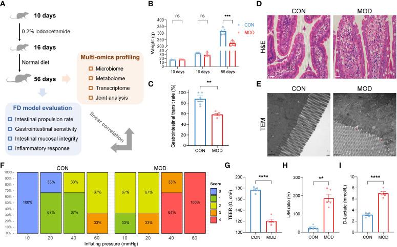 https://cdn.ncbi.nlm.nih.gov/pmc/blobs/98a7/9453867/4bc489f3714a/fimmu-13-944591-g001.jpg