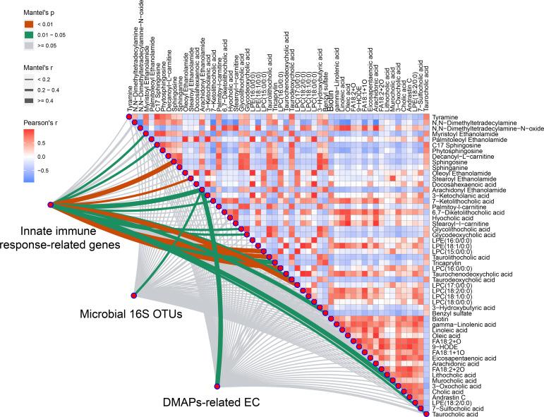 https://cdn.ncbi.nlm.nih.gov/pmc/blobs/98a7/9453867/9bbb37f0a150/fimmu-13-944591-g007.jpg