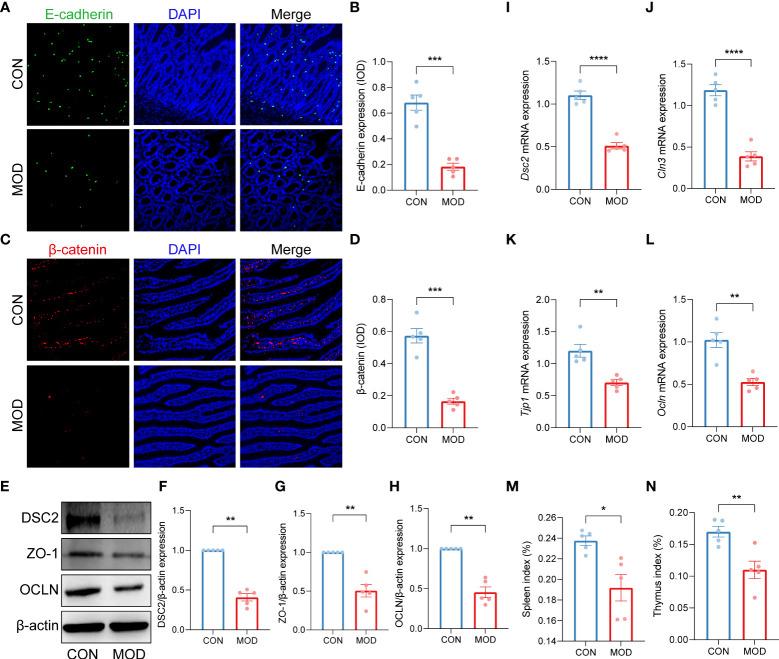 https://cdn.ncbi.nlm.nih.gov/pmc/blobs/98a7/9453867/b1fe66c4c58d/fimmu-13-944591-g002.jpg
