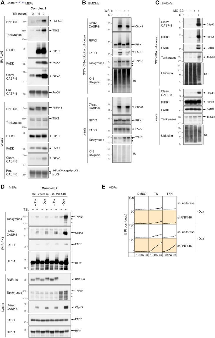 https://cdn.ncbi.nlm.nih.gov/pmc/blobs/98a9/9094663/283accf7cdb5/sciadv.abh2332-f5.jpg