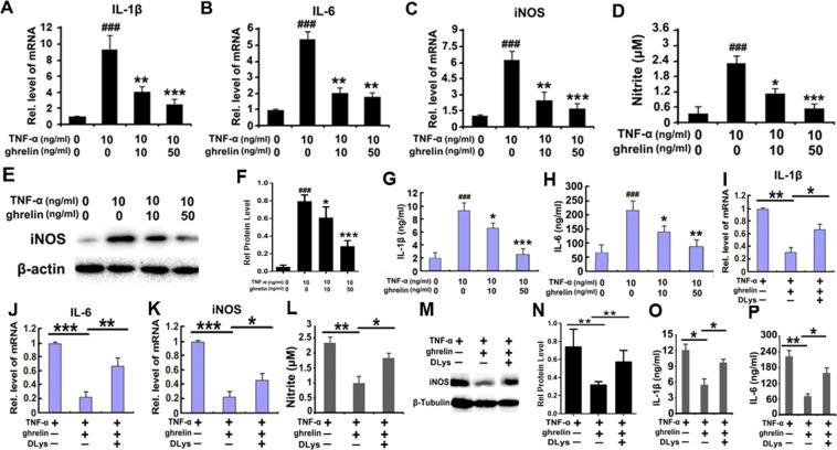 https://cdn.ncbi.nlm.nih.gov/pmc/blobs/98aa/6362006/ca5378e137ef/41598_2018_38174_Fig5_HTML.jpg