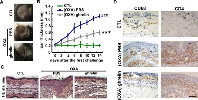 https://cdn.ncbi.nlm.nih.gov/pmc/blobs/98aa/6362006/e20698c50ead/41598_2018_38174_Fig2_HTML.jpg