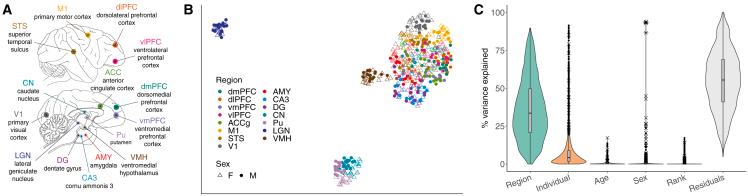 https://cdn.ncbi.nlm.nih.gov/pmc/blobs/98ab/11293591/5490f57e2b64/gr1.jpg