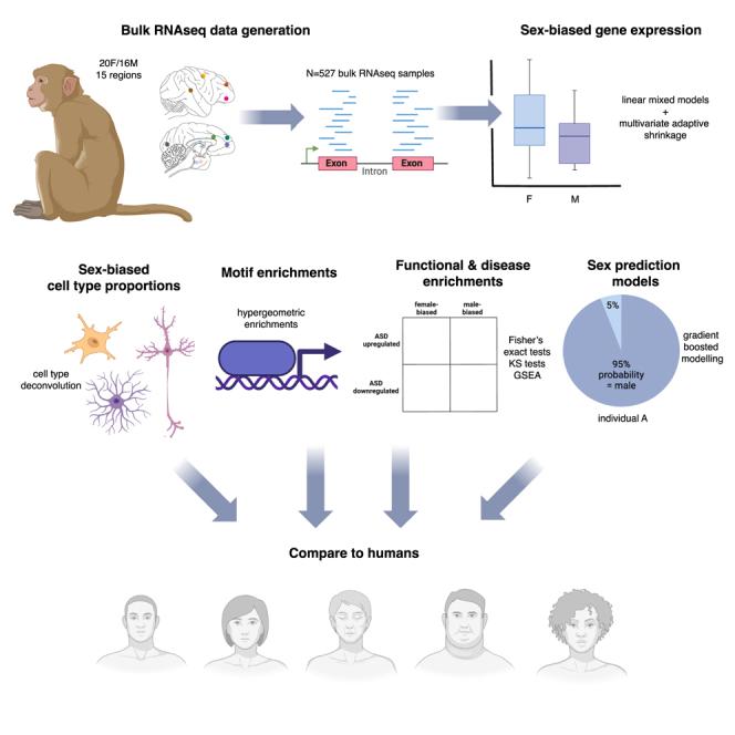 https://cdn.ncbi.nlm.nih.gov/pmc/blobs/98ab/11293591/cec20a476b4b/fx1.jpg