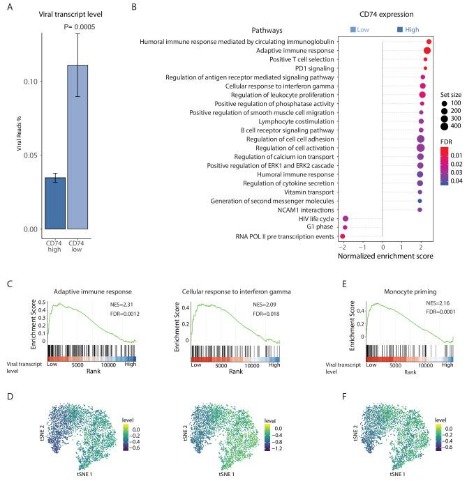 https://cdn.ncbi.nlm.nih.gov/pmc/blobs/98ab/7039680/1a0b6ea1988f/elife-52168-fig6.jpg