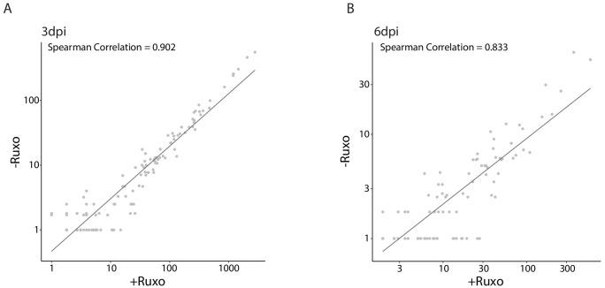 https://cdn.ncbi.nlm.nih.gov/pmc/blobs/98ab/7039680/df5f423e7440/elife-52168-fig7-figsupp1.jpg