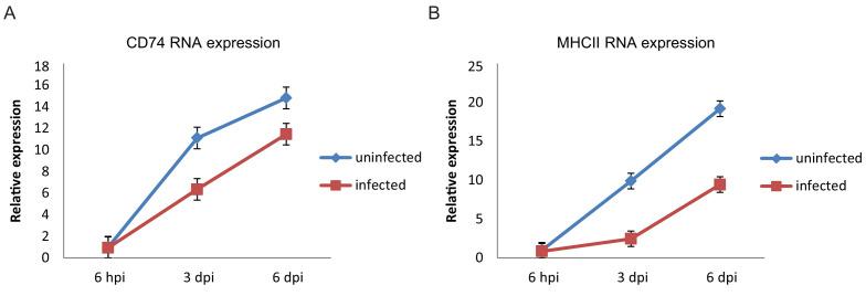 https://cdn.ncbi.nlm.nih.gov/pmc/blobs/98ab/7039680/ed2431159a84/elife-52168-fig1-figsupp2.jpg